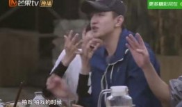 贾乃亮爆料厨房视频播放,揭秘明星家庭日常烹饪时光