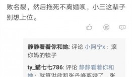 卓伟爆料手撕视频大全下载,揭秘娱乐圈幕后真相