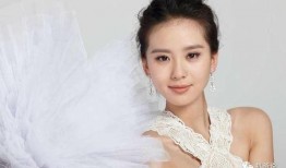 范冰冰爆料谢庭锋视频,真相背后引人深思